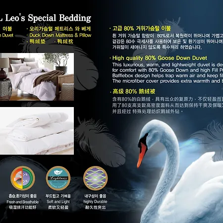 Hotel Leo-3